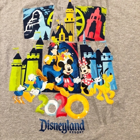 Disneyland Resort 2020 gray short sleeve crew neck t-shirt. Size Women's Large - Picture 4 of 6